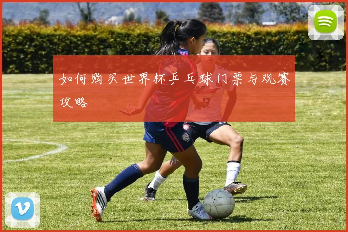 如何购买世界杯乒乓球门票与观赛攻略